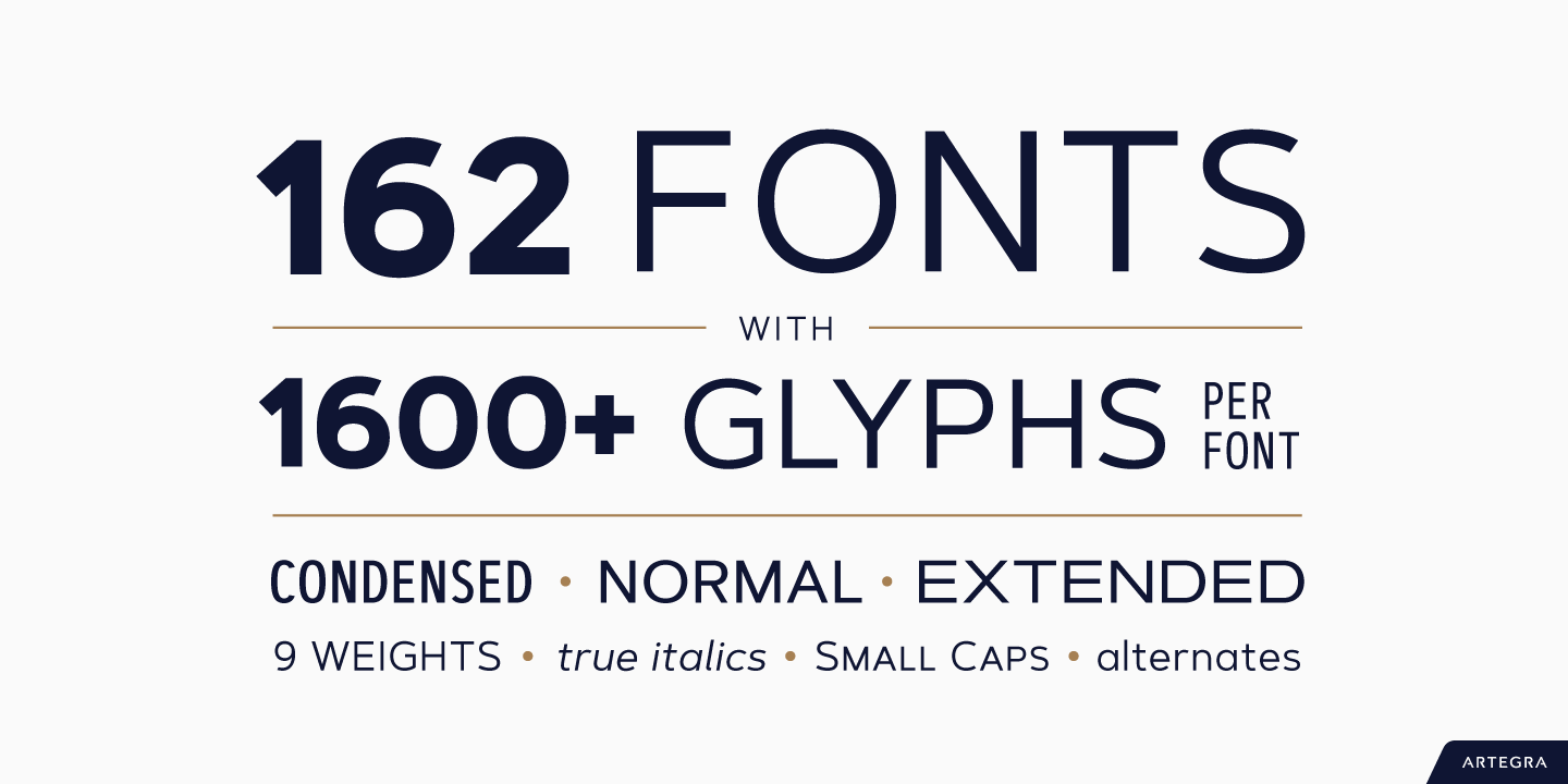 Artegra Sans Extended